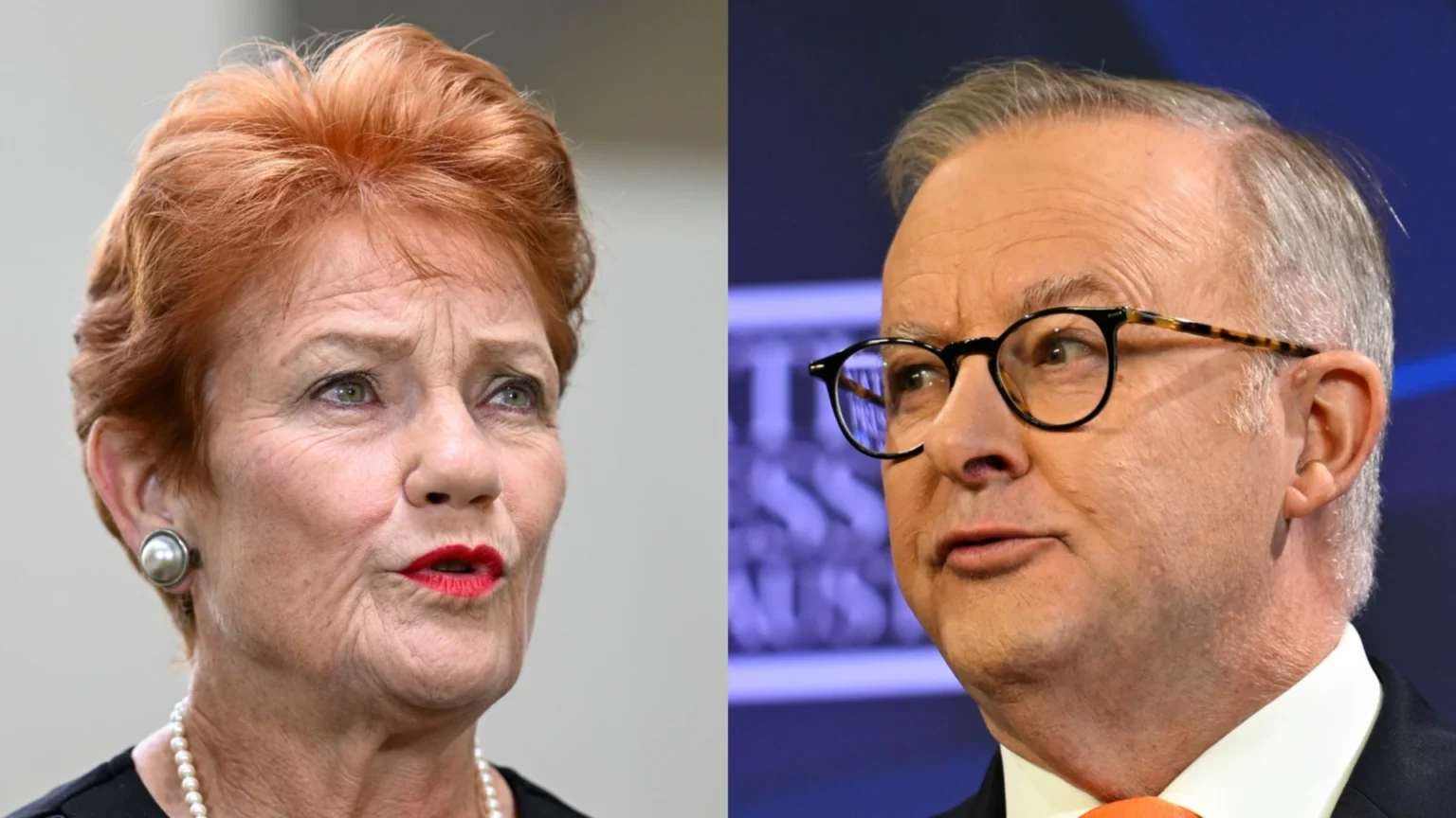 Pauline Hanson Makes Bombshell Statement About Albanese