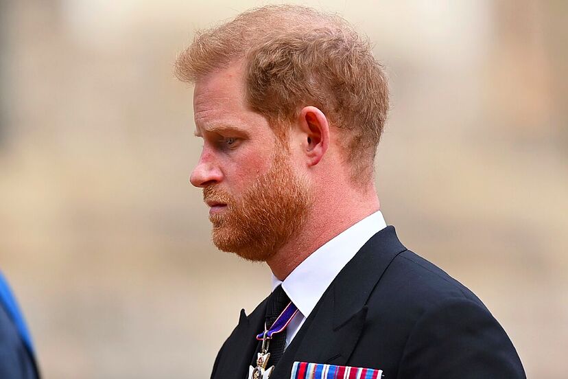 Prince Harry Excluded from Royal Plans By His Brother