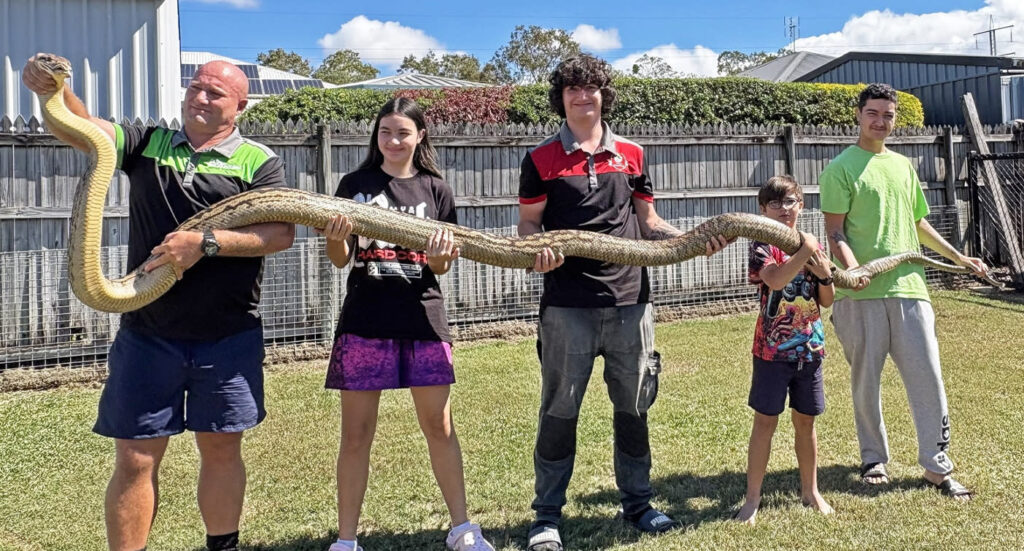 Aussie Dad Unloads Jaw-Dropping 26kg Python From the Roof