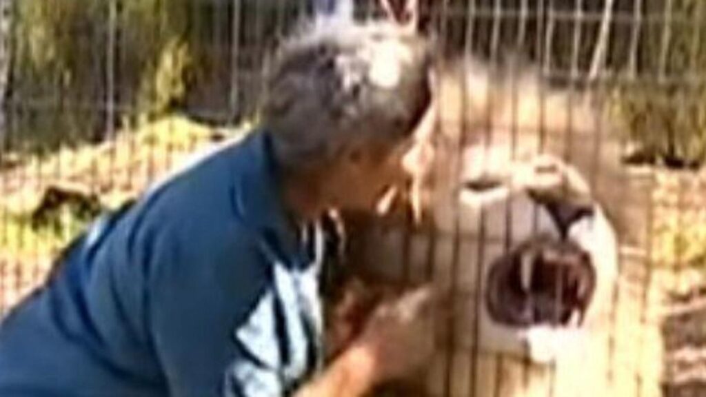 Images Emerge Of How Closed Did The Woman Get Before Having Her Arm Ripped Off