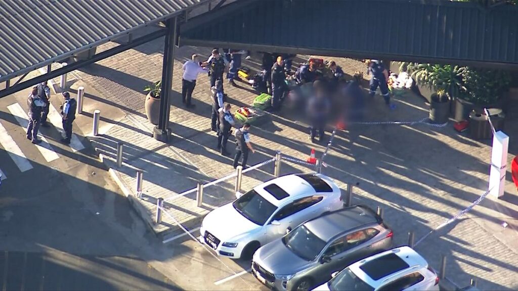 New Update on the Machete-Wielding Man Shot Dead by Cops