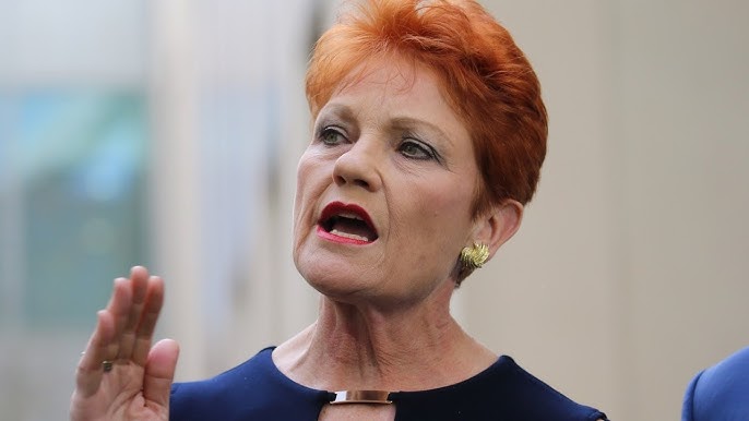 Pauline Hanson Disgusted By Welcome To Country Speech