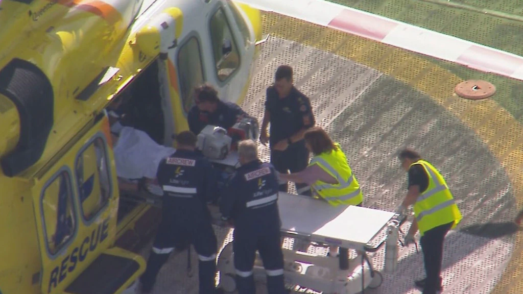 Woman Arm Ripped Apart By Big Cat At Aussie Zoo