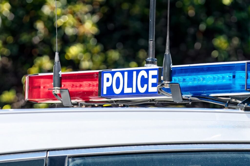 Man Dies After Tree Falls Onto His Car In Australia