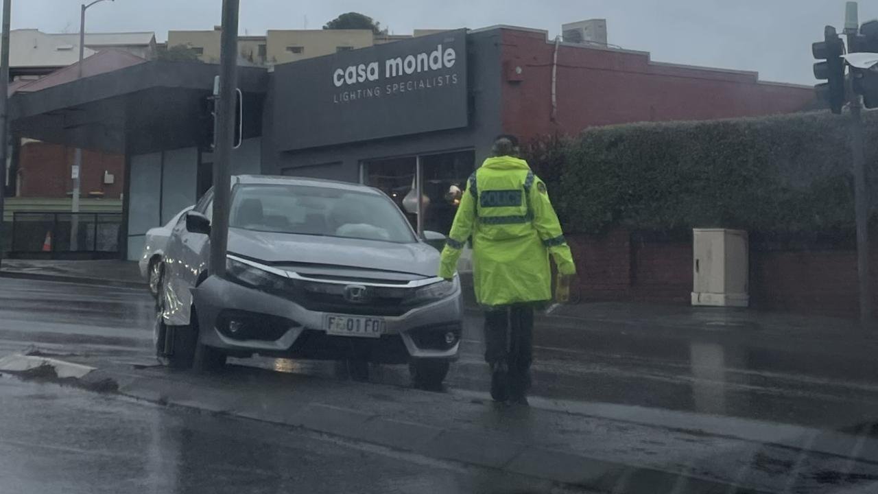 Man Dies After Tree Falls Onto His Car In Australia image 2