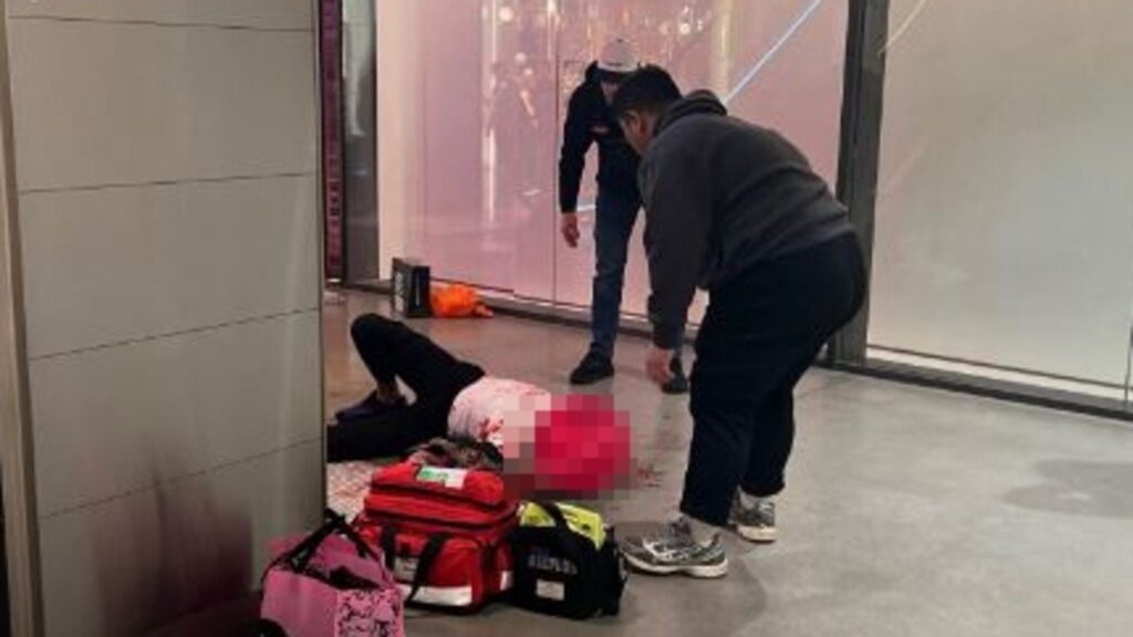 Runaway Thief Badly Injured In 6M Fall In Aussie Shopping Centre