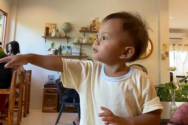 2yo Stung To Death By Swarm of Wasps image 2