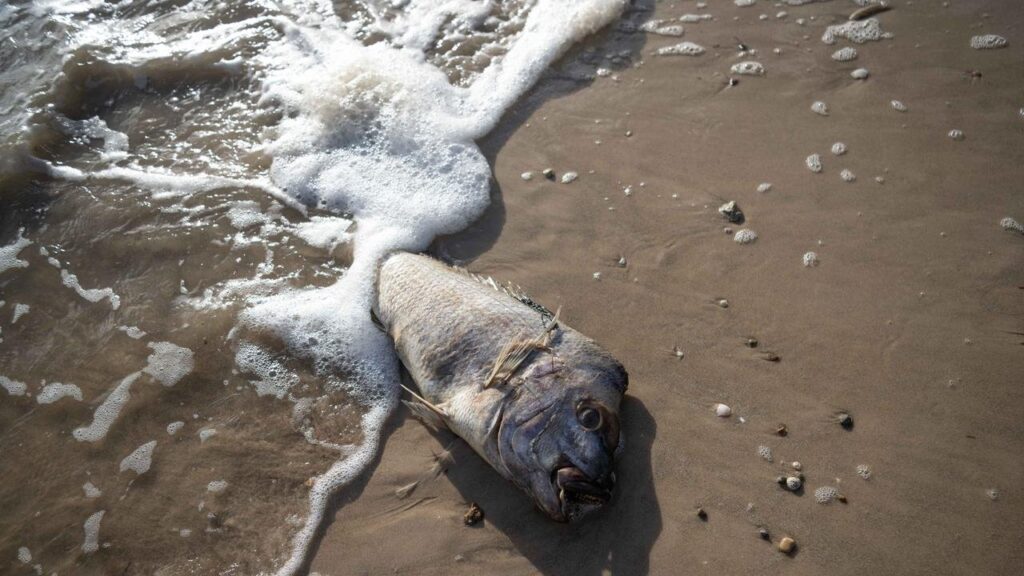 One Aussie State Declares Natural Disaster