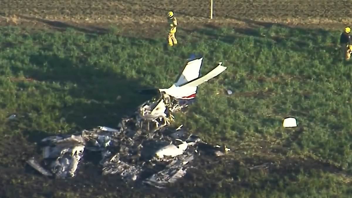 Plane crash kills two—was it preventable? image 2