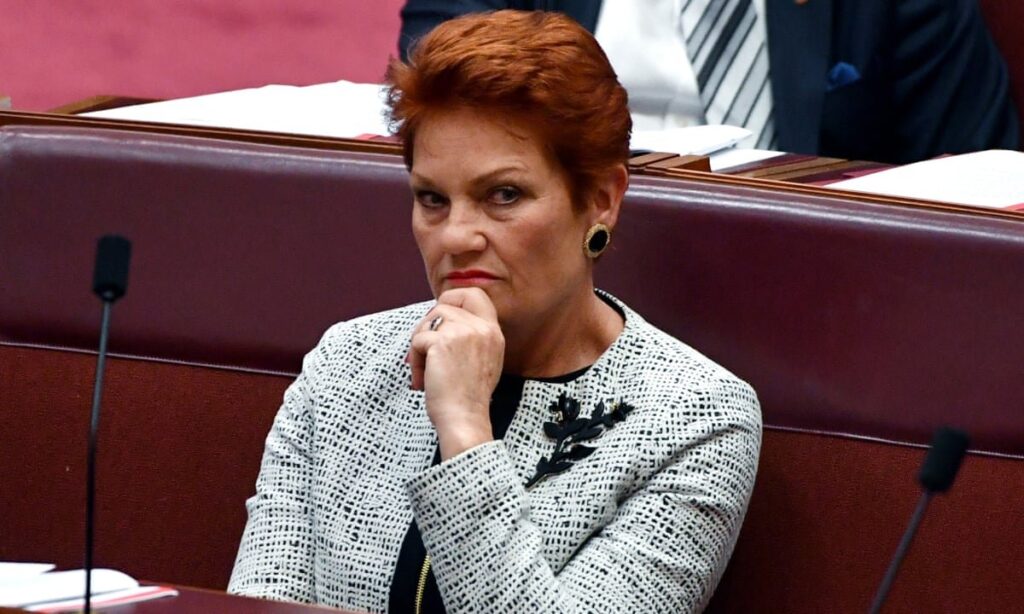 Pauline Hanson ‘Told Off’ By Two Aussie Parties