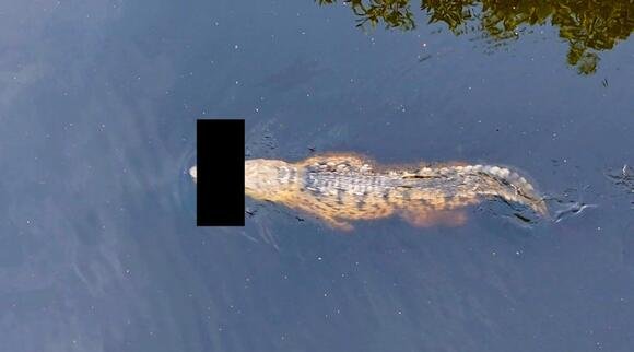 14Yo Mauled To Death By Crocodile In Front Of His Family