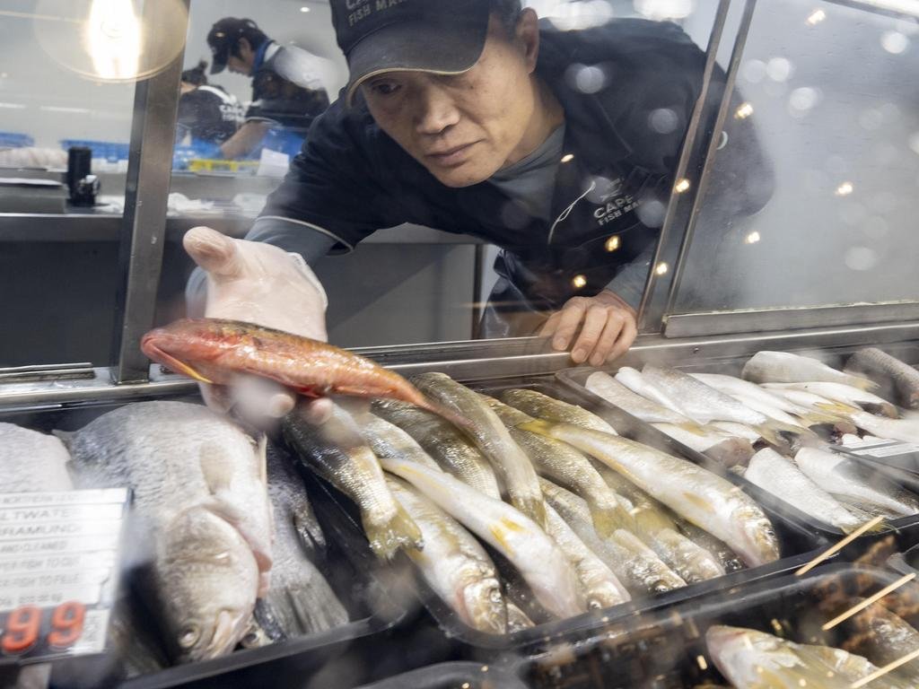 Aussies Urged to Continue Buying Seafood Amid Algal Bloom