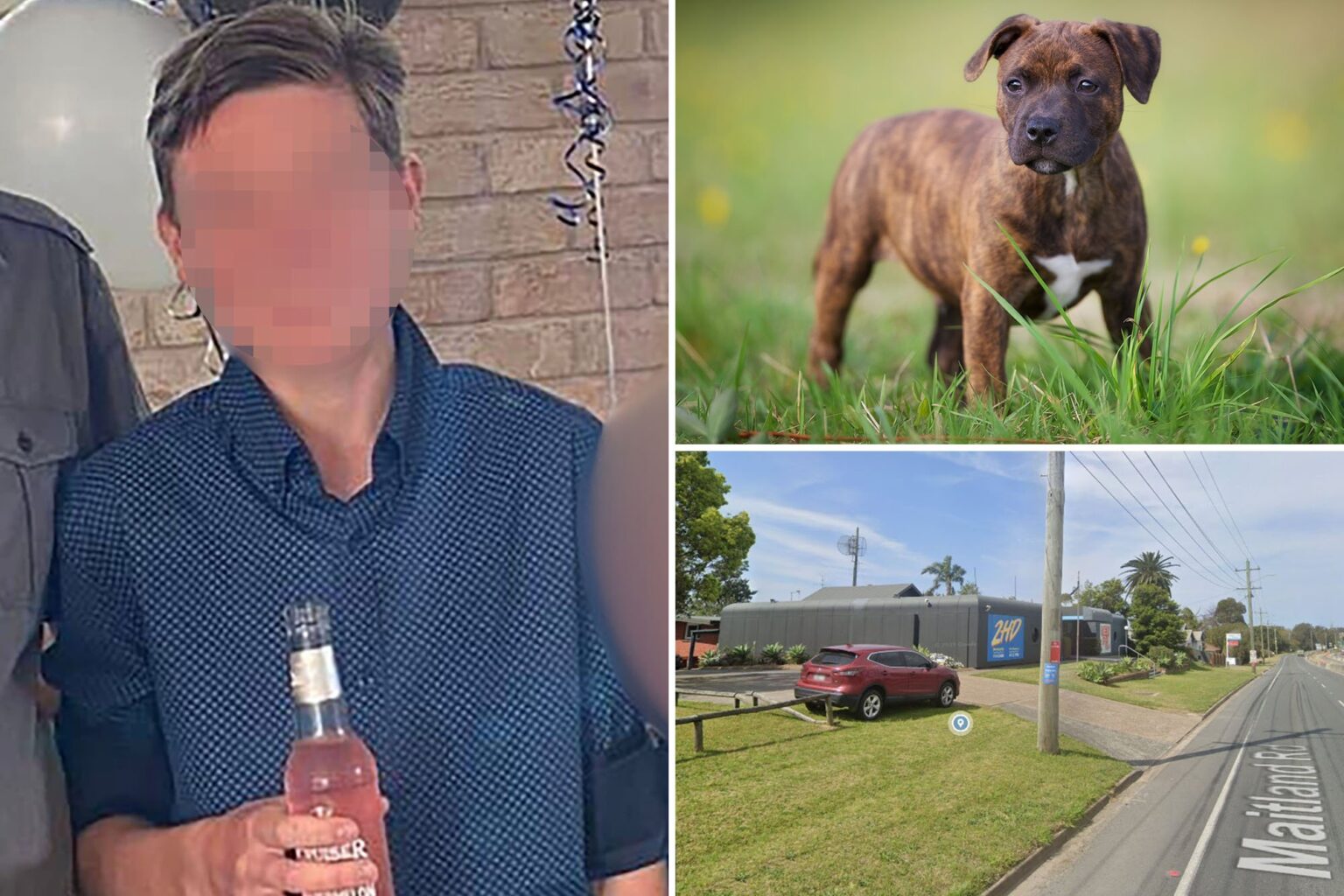 Police Charge A Aussie Man For Killing A Puppy Hours After Buying It