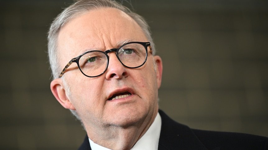 Albanese Says ‘Israel Has Broken International Law’