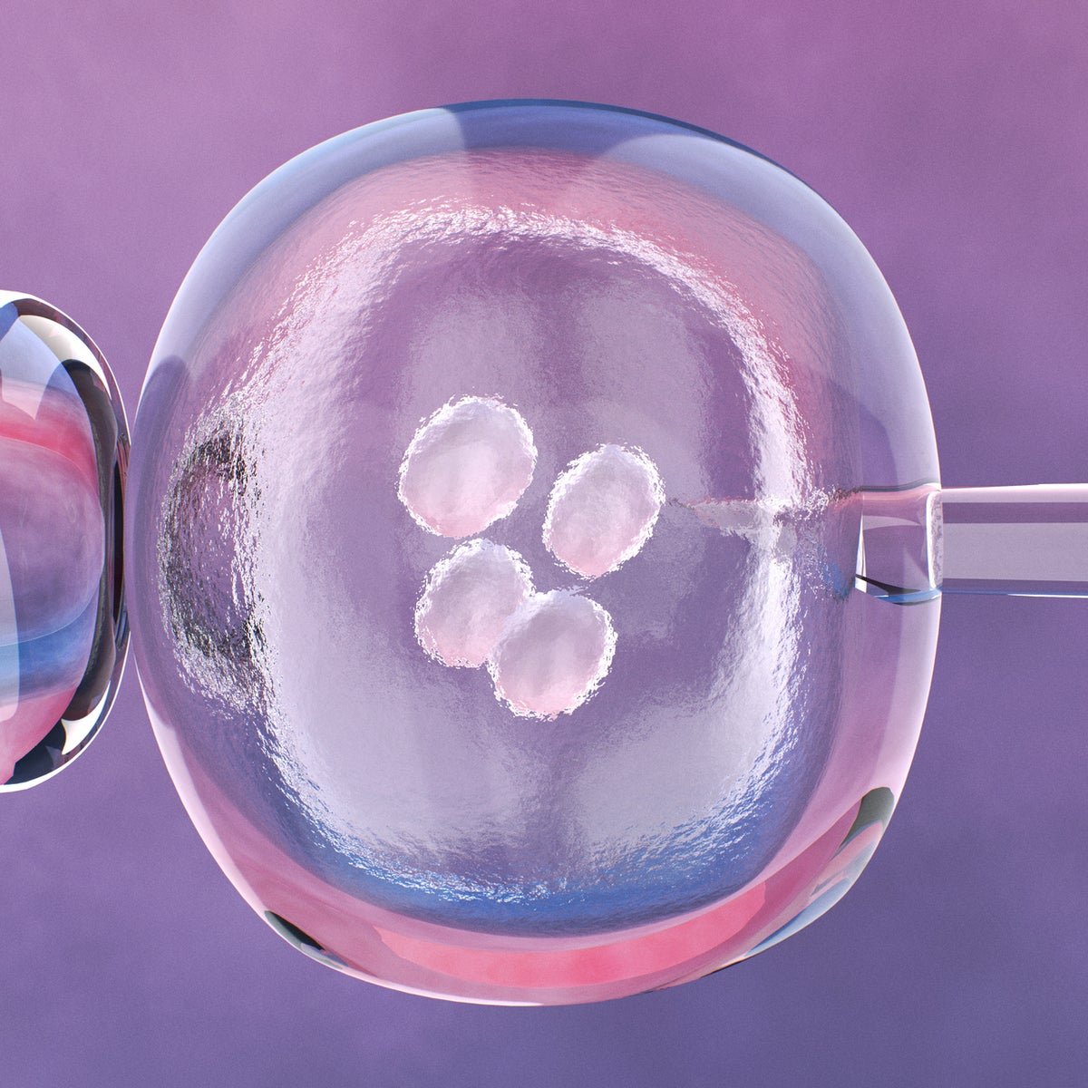 Three-Person BABIES Born After Controversial IVF Technique image 2