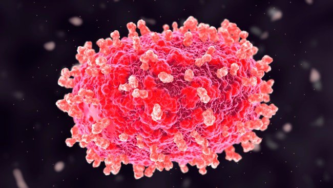 Health Warning Issued After Monkeypox Virus Confirmed In Queensland