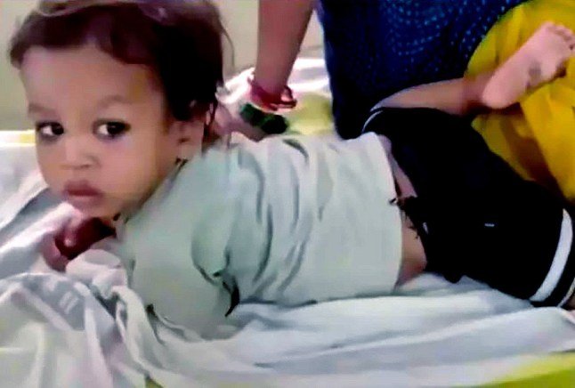 2Yo Bites And Kills Cobra After Interrupting His Playtime second image