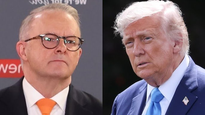 Albanese Erupts At Trump’s Right Hand Man After ‘Disgust’ Palestinian Move
