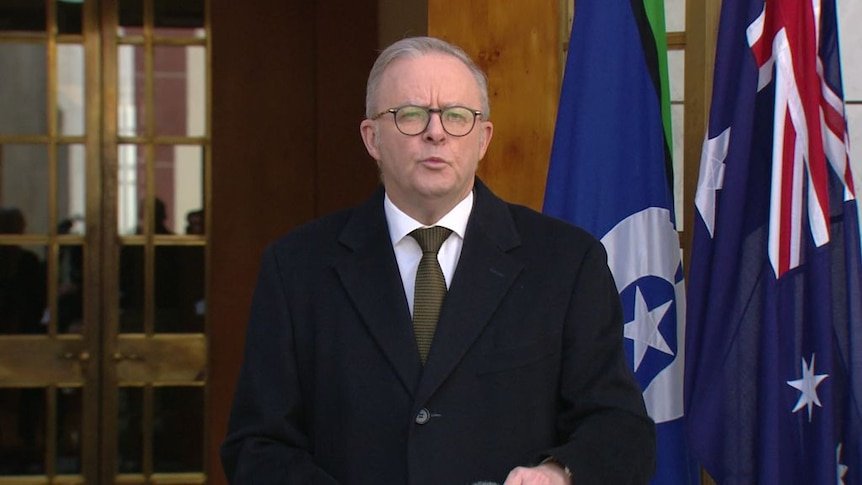 Albanese Erupts At Trump's Right Hand Man After 'disgust' Palestinian Move second image