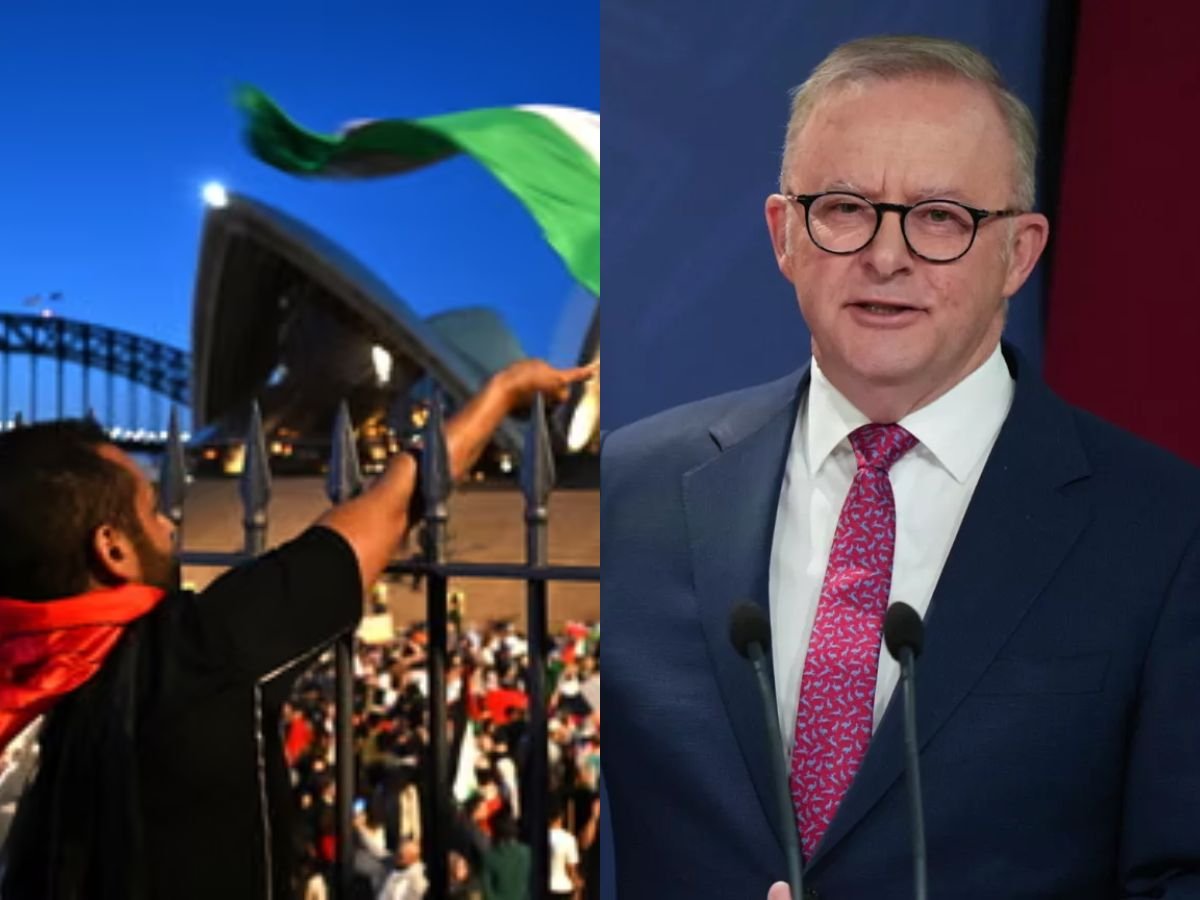 Aussies Divided After Albanese Announce Recognition Of Palestine second image
