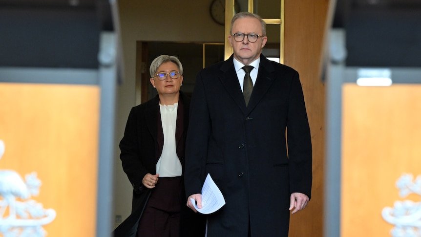 Hamas Praises Albanese But He Is Having None Of It second image