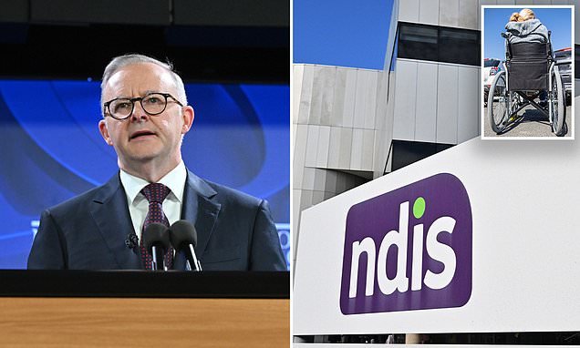 Kids With Autism Removed From Ndis Scheme