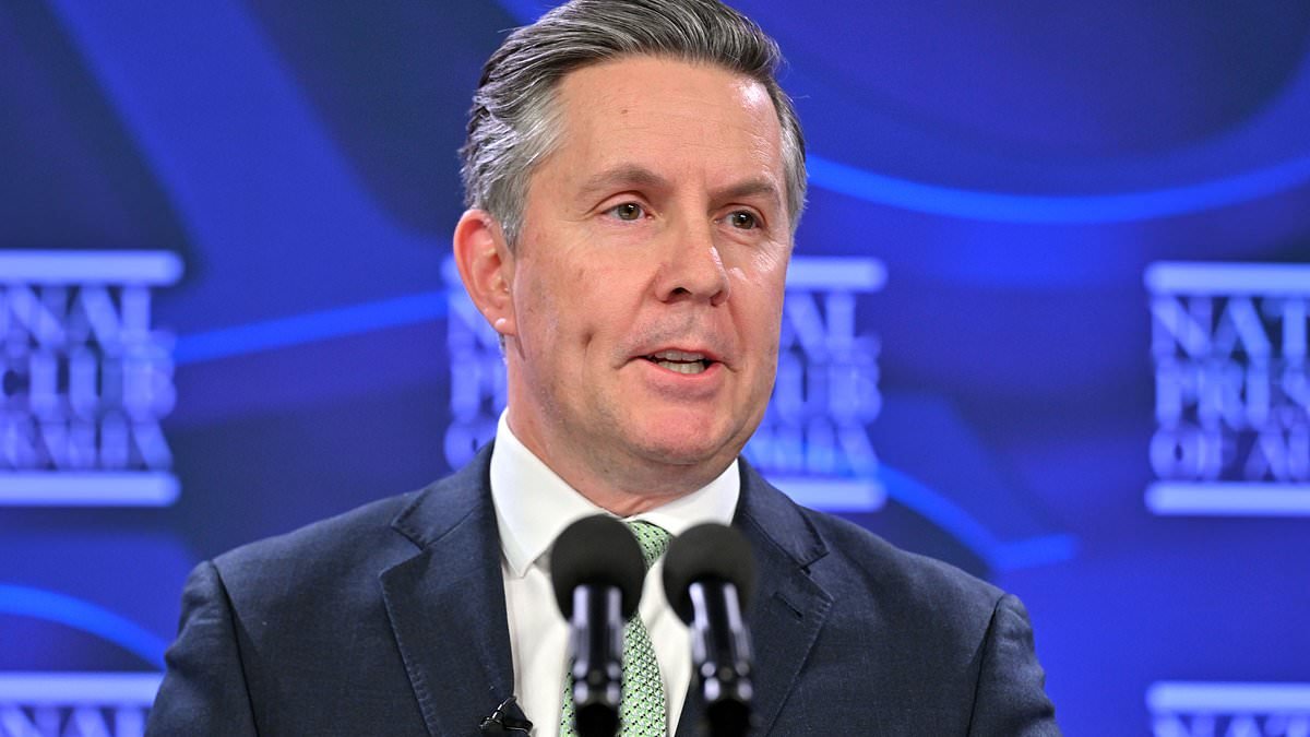 Major Cuts For $46billion Ndis Scheme second image