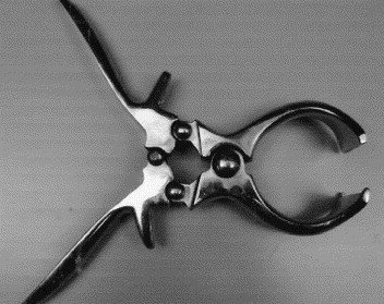 Serial Child Rapist To Be Castrated Under New Law second image