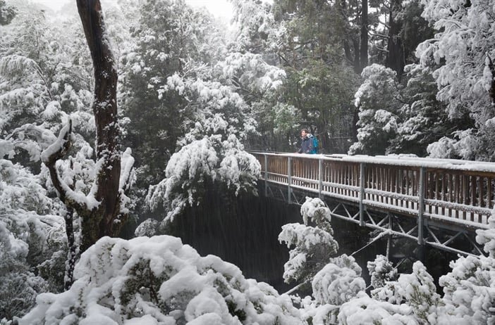 Tasmania's Snow Chaos—are Tourists To Blame? second image