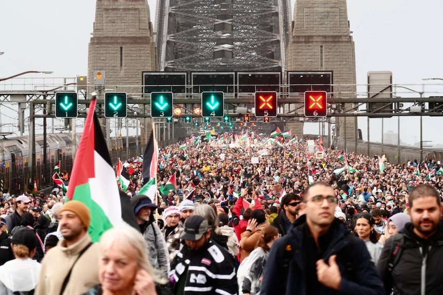 More Mass Protests Planned Across Australia After 100,000 People Joined Pro-Palestinian March second image