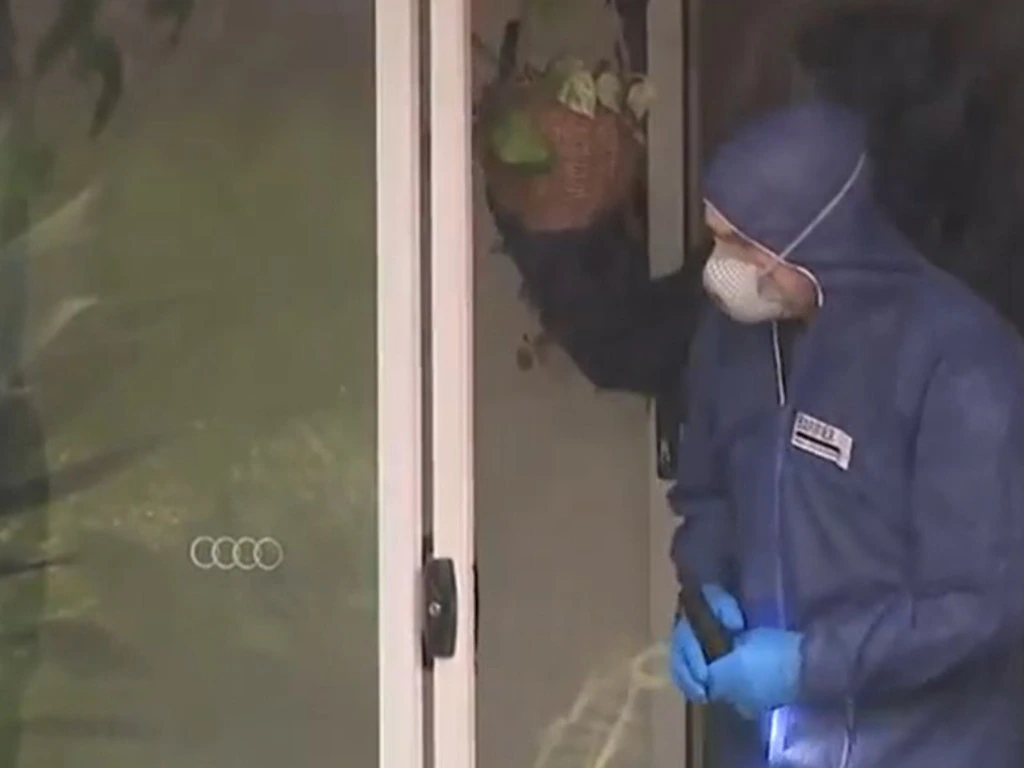 Woman Stabbed To Death In Her Home, 20yo Arrested