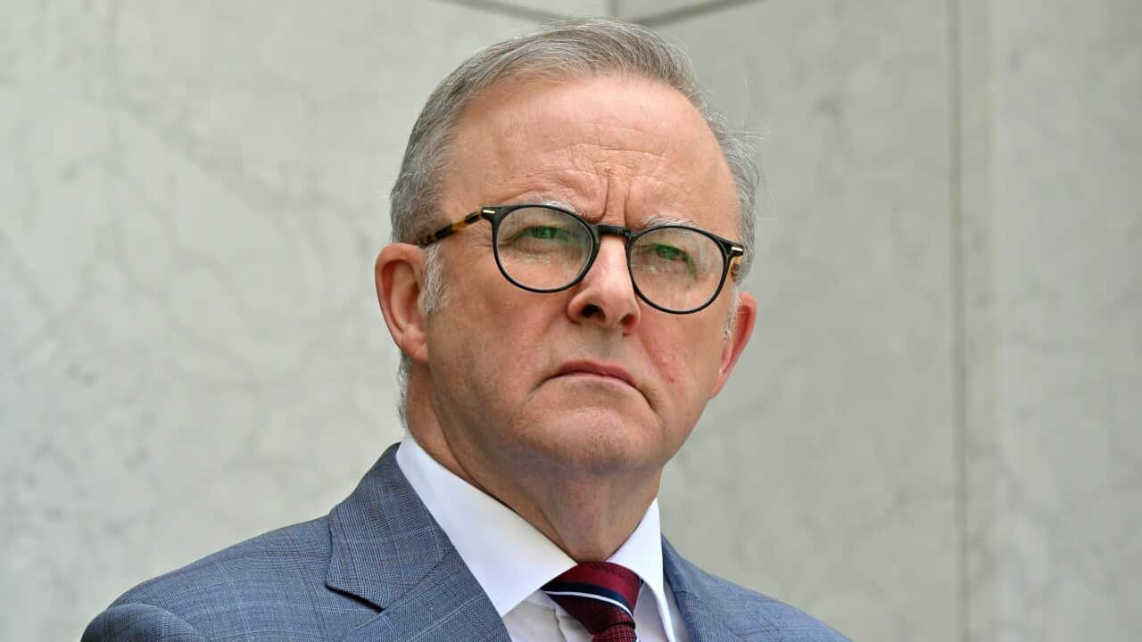 Albo Government Lea second image