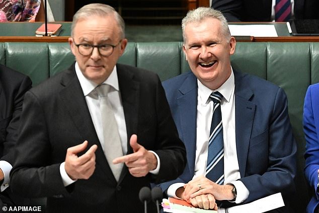 Albo Shares ‘Insane’ Updated Migration Numbers For 2025-26