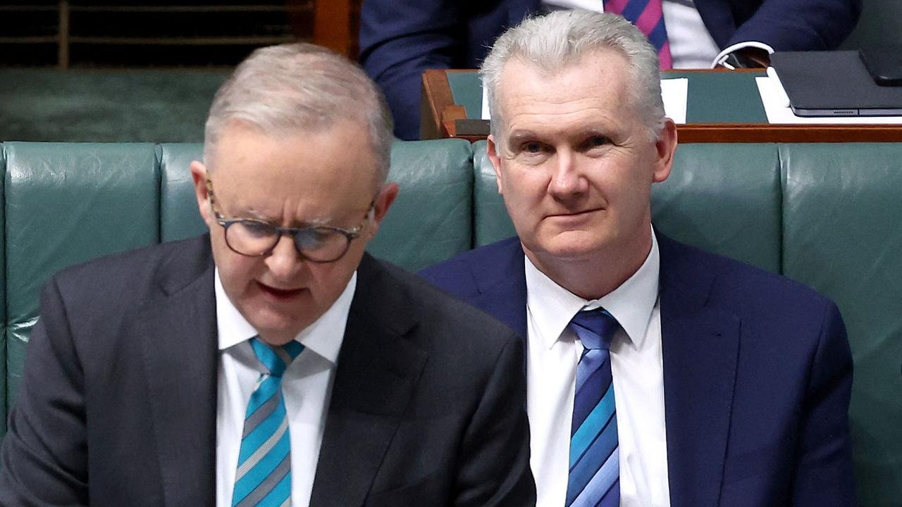 Albo Shares 'insane' Updated Migration Numbers For 2025-26 second image