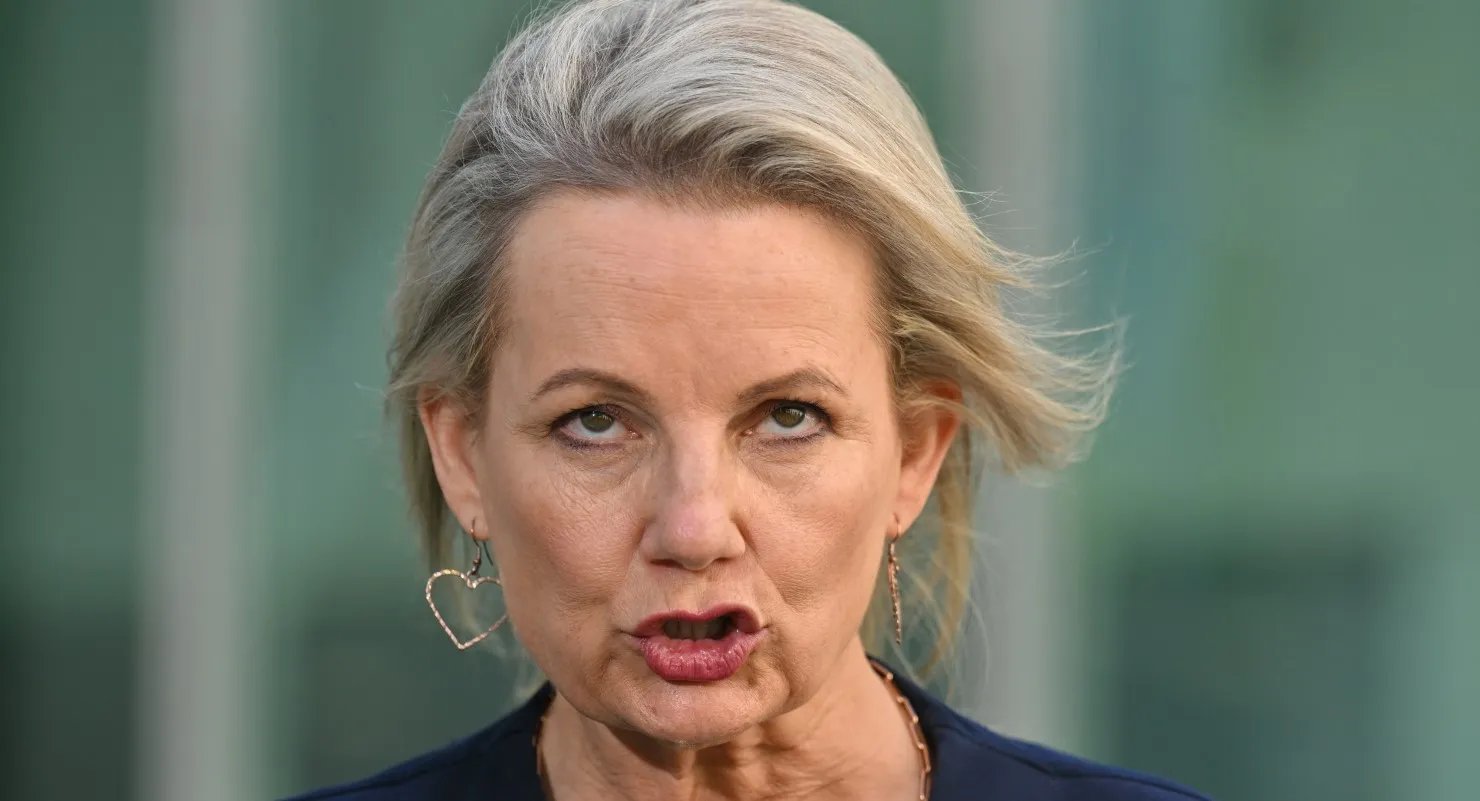Australians Too Dependent On Government, Says Sussan Ley second image