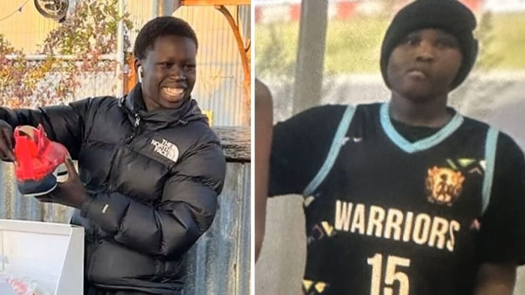 Bone-Chilling Admission After Melbourne Machete Deaths