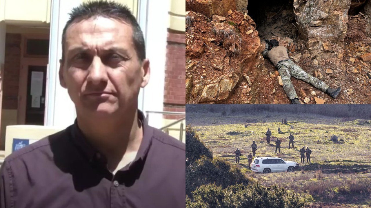 Major Update In Dezi Freeman Search second image