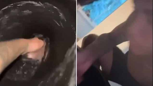 Nrl Superstar Seen Drinking Water From Toilet second image