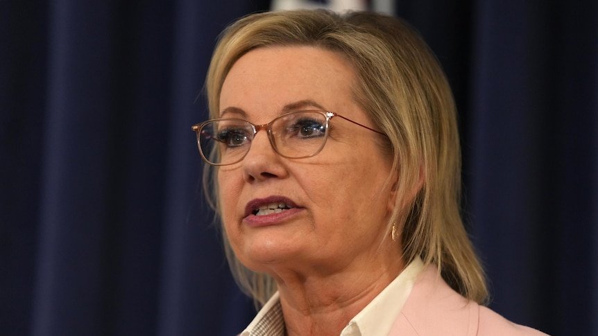 Sussan Ley Faces Leadership Crisis As Coalition Plunges Towards Political Meltdown