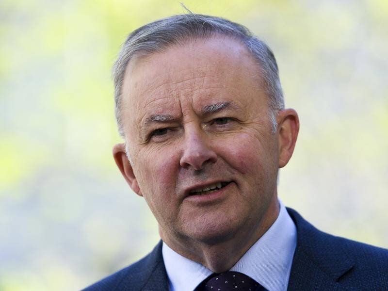 Senior Minister Makes Bizarre Two-word Comment About Anthony Albanese Failing To Secure Trump Meeting second image