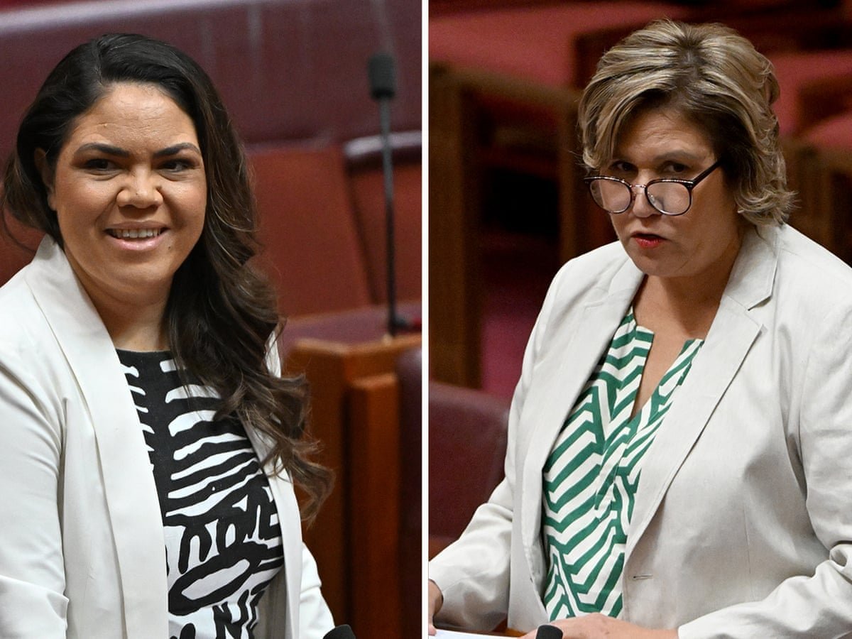 Shadow Minister On 'unity Ticket' With Dumped Senator Nampijinpa Price second image