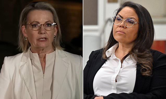 Sussan Ley's Decision To Punt Jacinta Was Necessary And Overdue second image