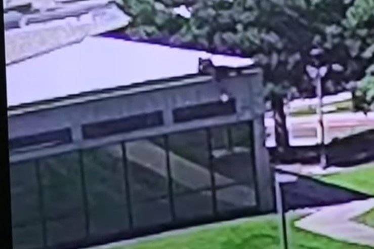 Teen Suffers Life-threatening Injuries In Port Lincoln Stabbing second image