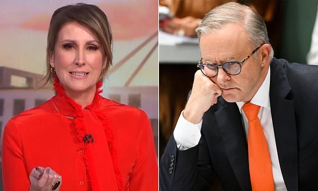 Tense Scenes On Sunrise As Albo Clashes With Nat Barr