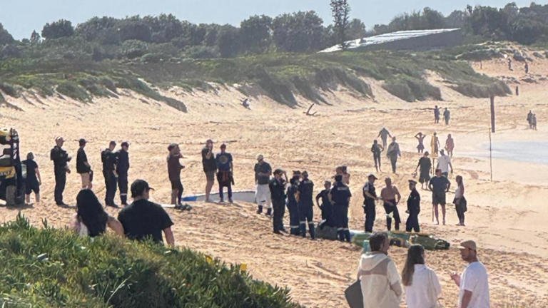 Man Killed By Large Shark In Sydney, Beach Closed