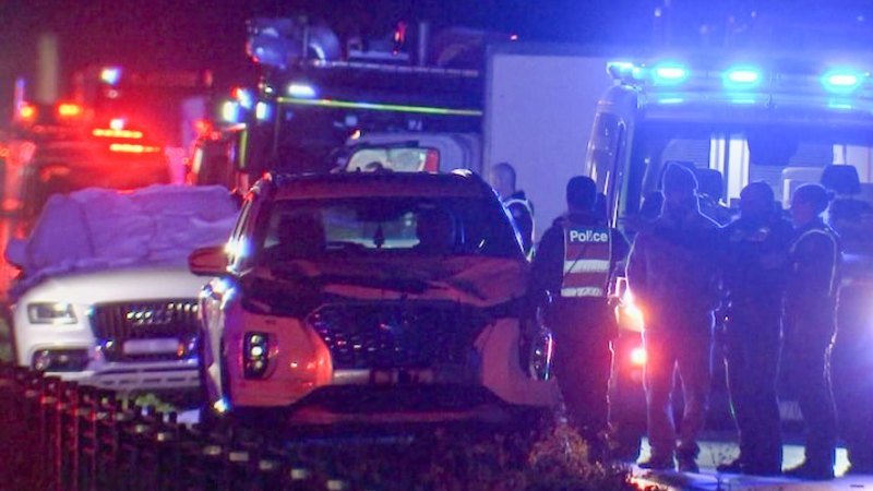 Two Aussie Women Dead After Stopping To Help Injured Animal