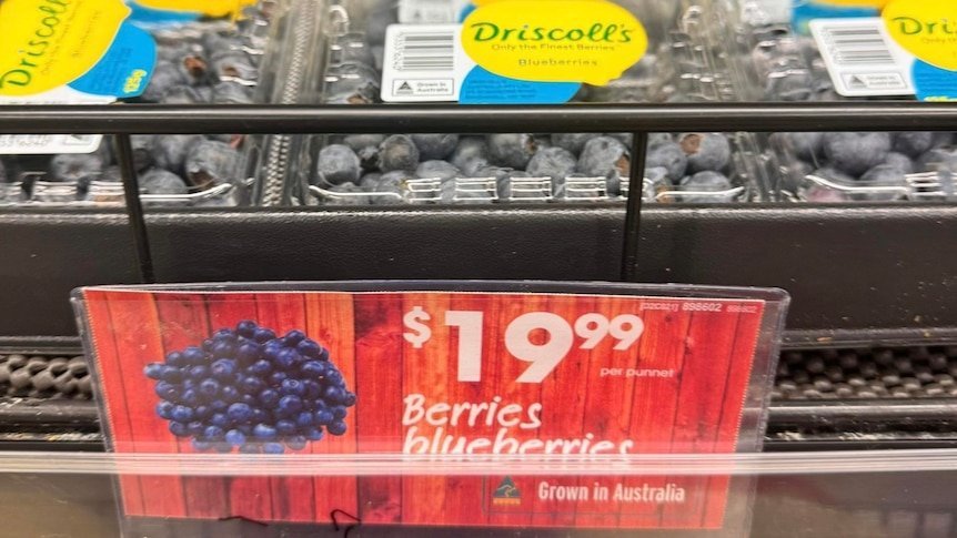 Urged Warning Issued Over Australian Berries