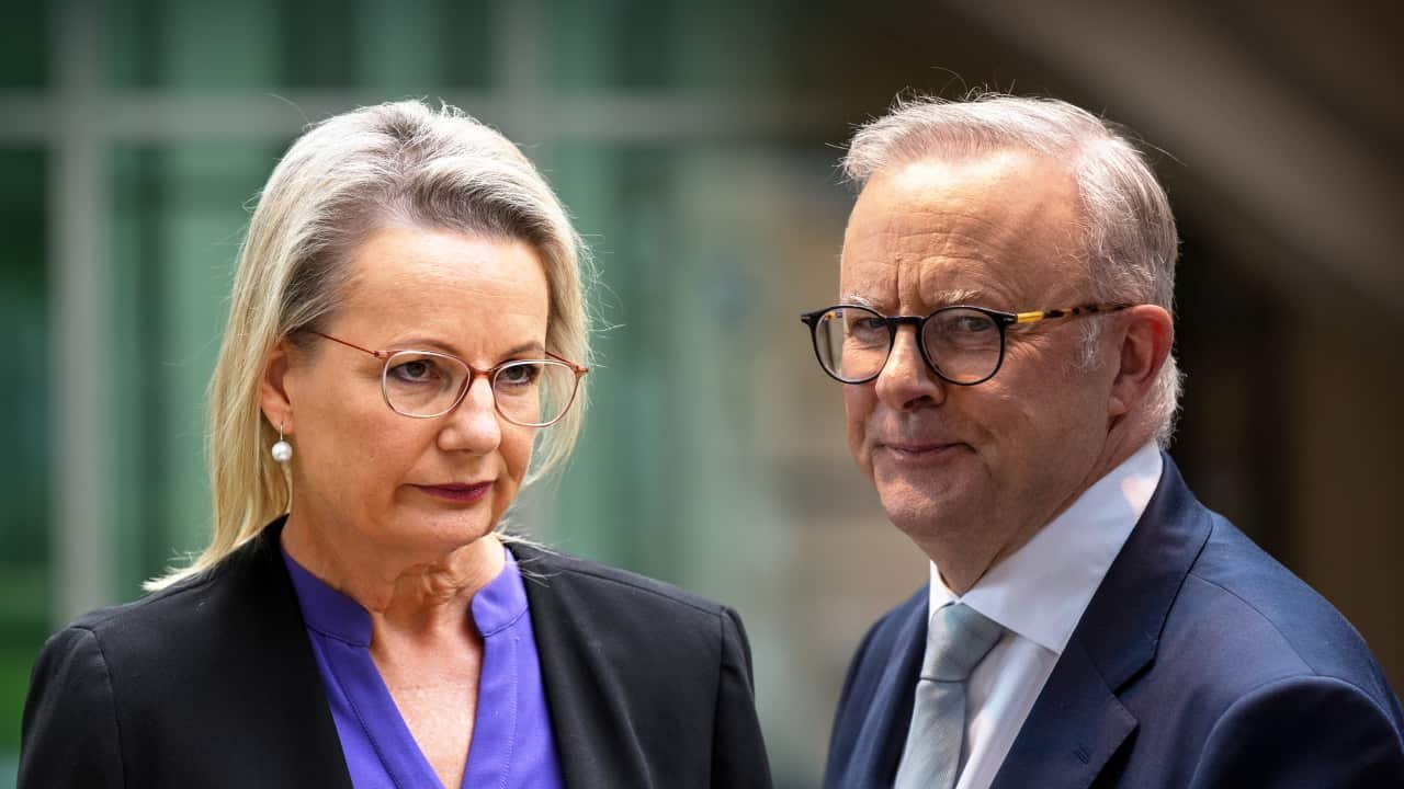 Watch The Awkward Moment Sussan Ley Fails At Her Strong Stance Against Albanese's Climate Targets As She Walks Back Comments second image