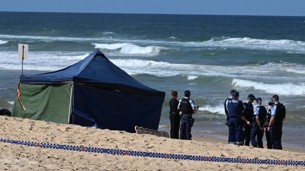 Tragic New Details On Man Killed By Shark In Sydney