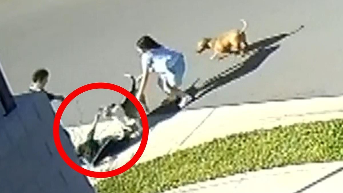 Three Kids Left Screaming In Terror After Savage Dog Attack On Sydney Street Near School second image